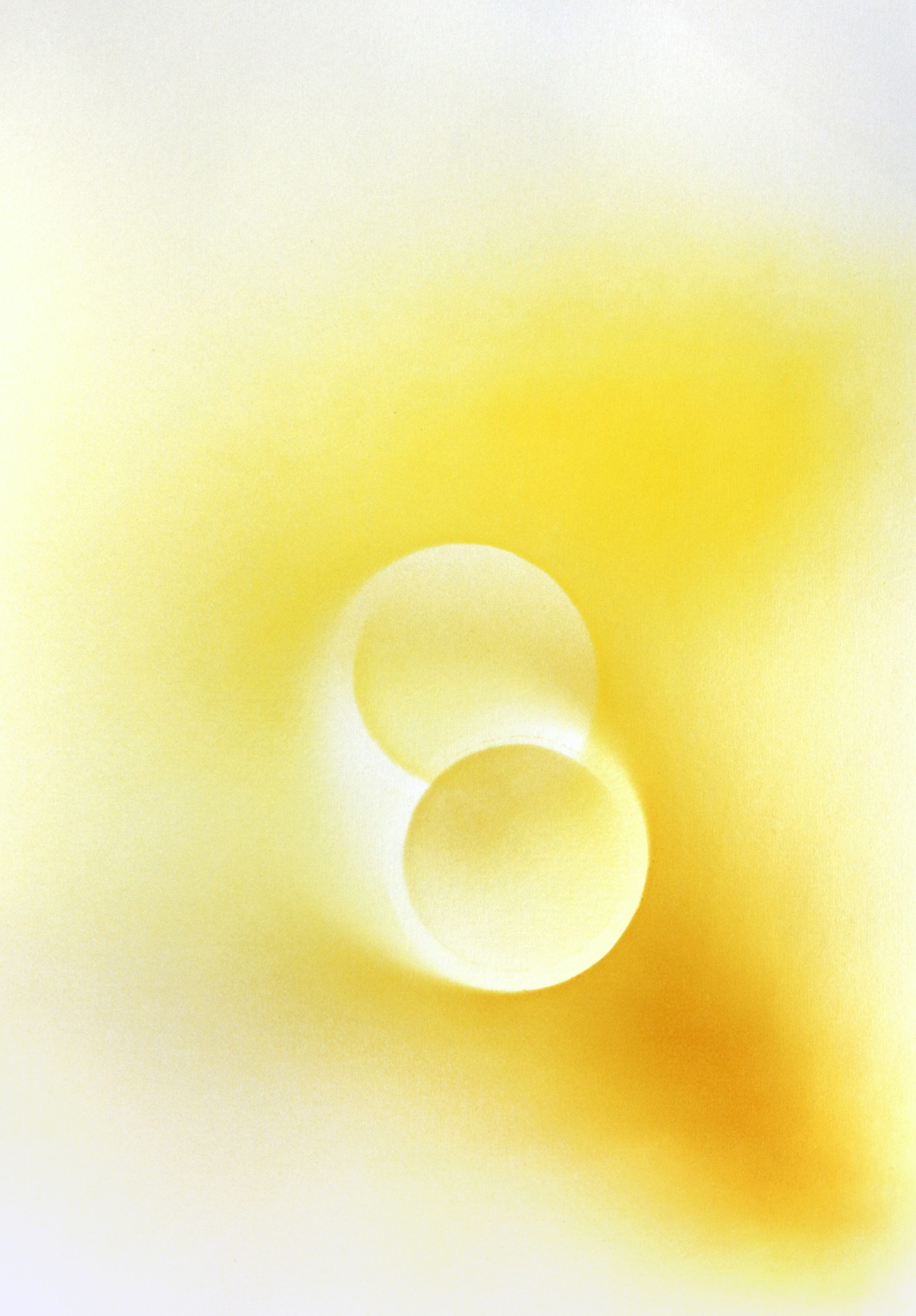 Thomas Zitzwitz